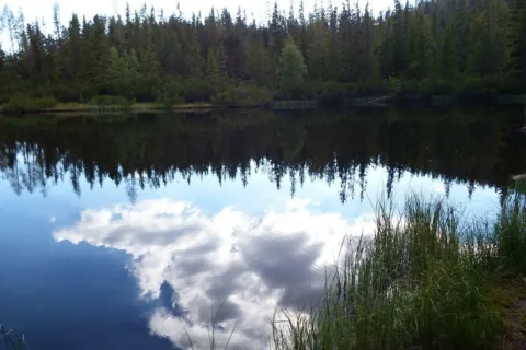 Jamski Staw