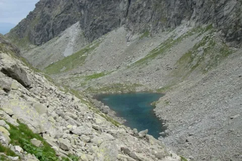 Długi Staw