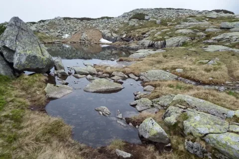 Wyżni Mnichowy Stawek