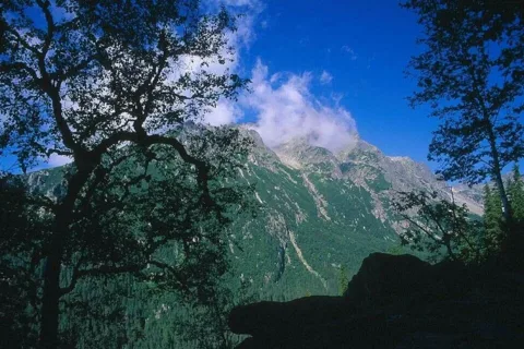 Wysoka