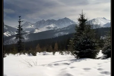 Z Siedlarskiej Drogi...