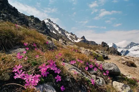 Tatry są Wysokie a pierwiosnek tylko maleńki. Widok ze szlaku na Sławkowski Szczyt