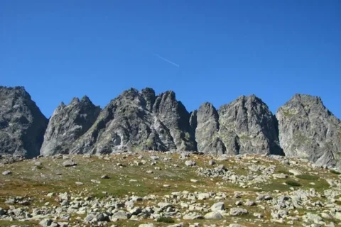Baszty