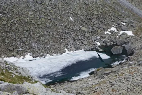 Żabi Staw Jaworowy