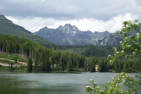 Szczyrbski Staw