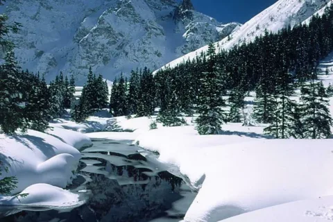 Mnich