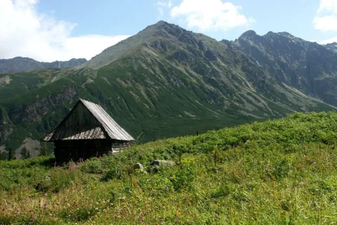 Żółta Turnia