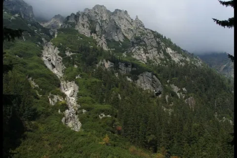 dolina roztoki