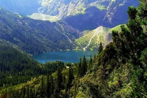 zagadka