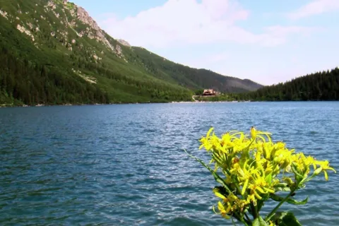 Morskie Oko (1)