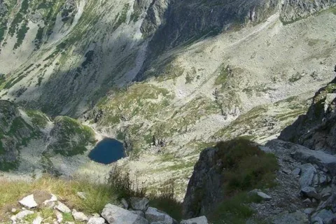 Staw