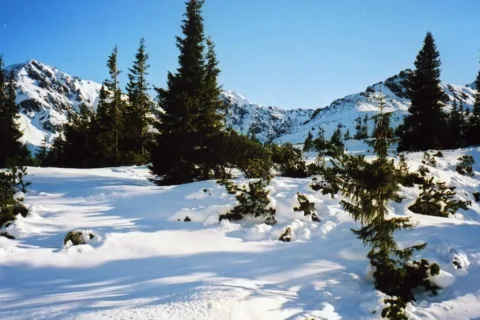 Gąsienicowa