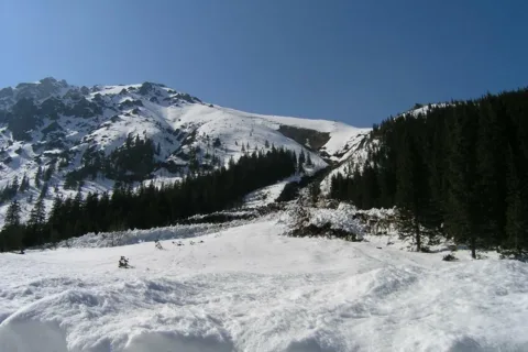 Lawina
