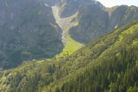 Mnich