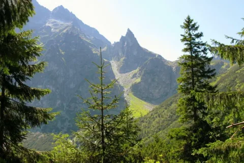 Mnich