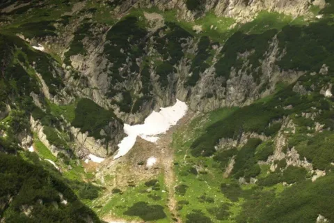 Płat śniegu