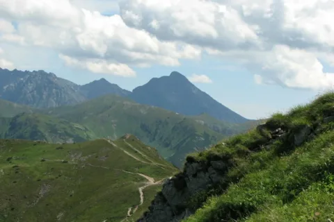 Krywaniu, mój Krywaniu