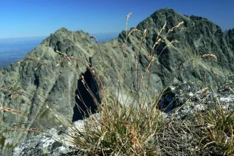 Tatry jesienią