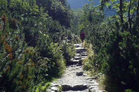 w drodze nad Czarny Staw