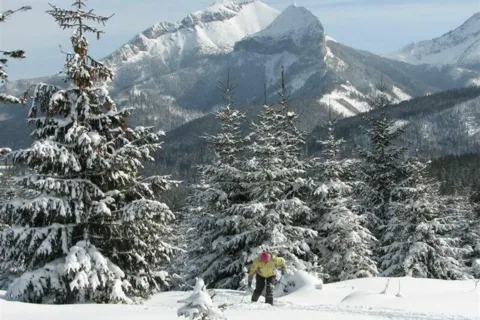 Tatry