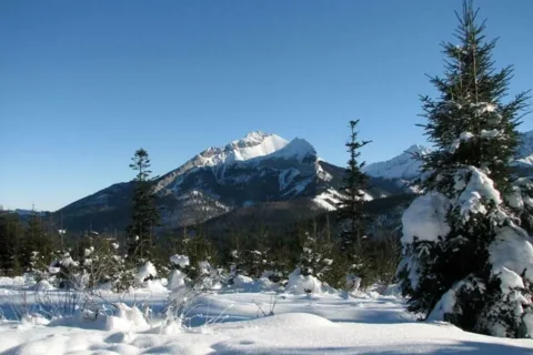Tatry