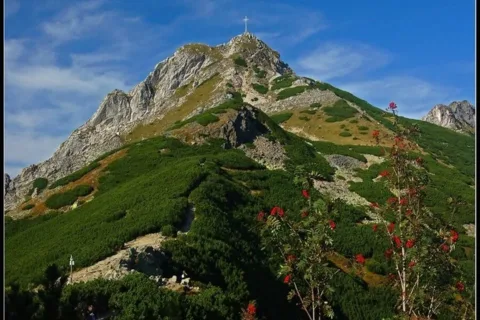 Jsienny Giewont