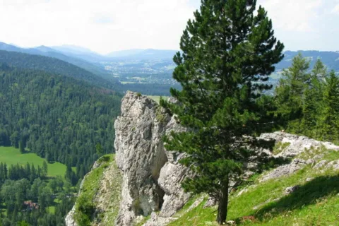 Na Nosalu