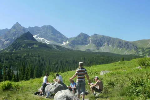 Hala Gąsienicowa