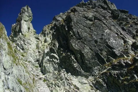 Palec v Prostrednom chrbte