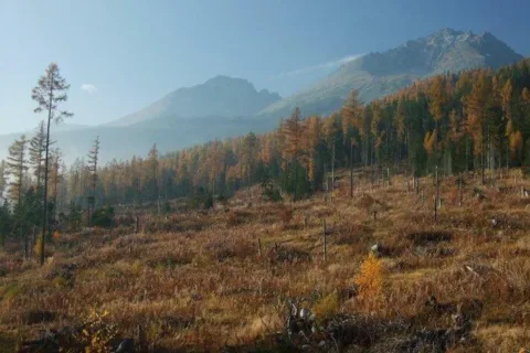 Koncista Gerlach spod Tmaveho kamena