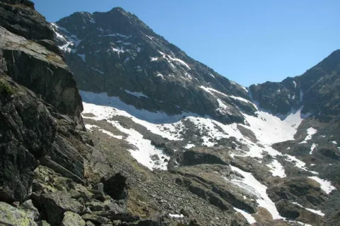 Świnica