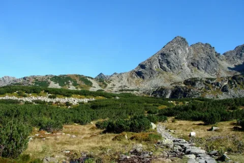 Kiścielce-3