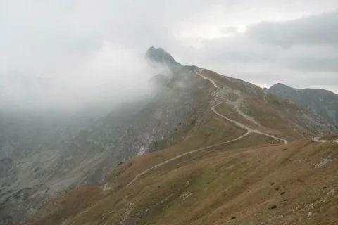 Świnica