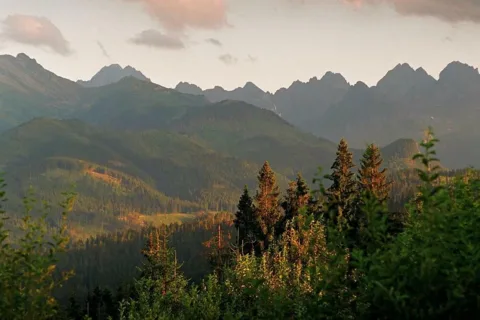 Widok na Tatry z Wyżni Kiczora