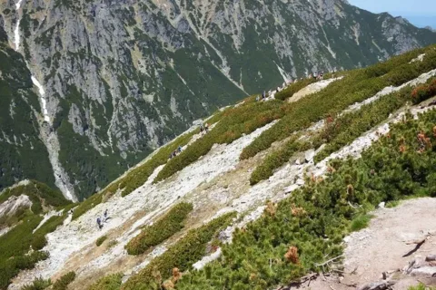 wycieczka