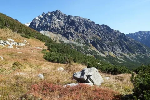 Popradzka Kopa