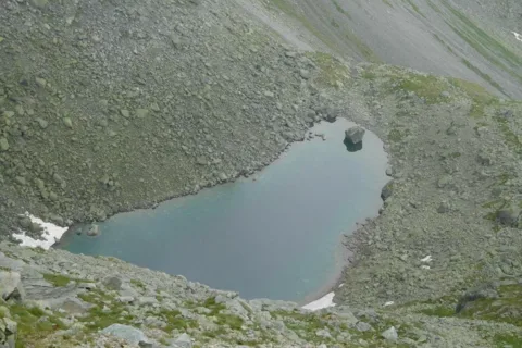 Żabi Staw Jaworowy