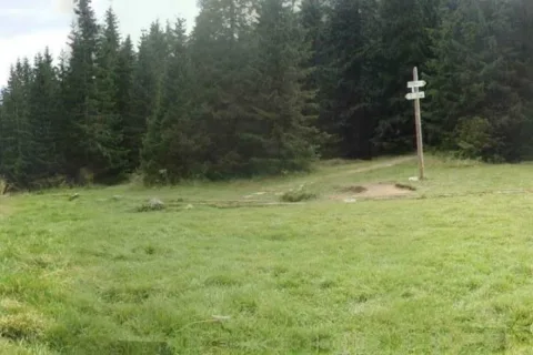Iwaniacka