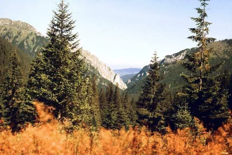 Raptawicka Grań