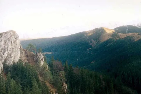 Hala Gąsienicowa
