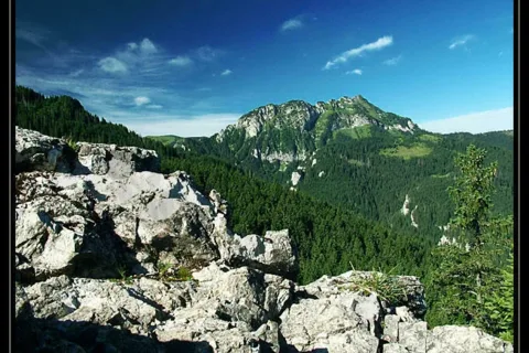 Kominiarski Wierch