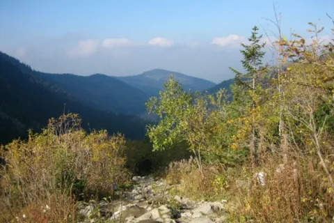 zapadnięta dol. Mł. Łaki z Niżnej Świstówki, w dali Hruby Regiel (1339 m)