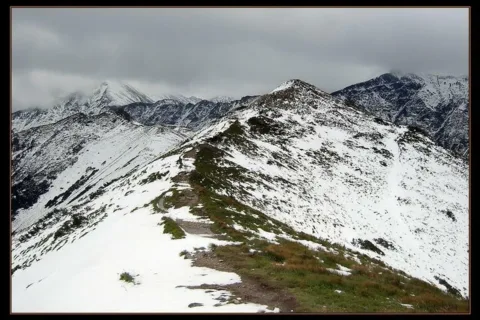 Śnieżny sierpień III