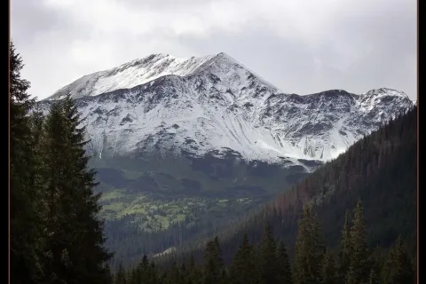 Śnieżny sierpień IV