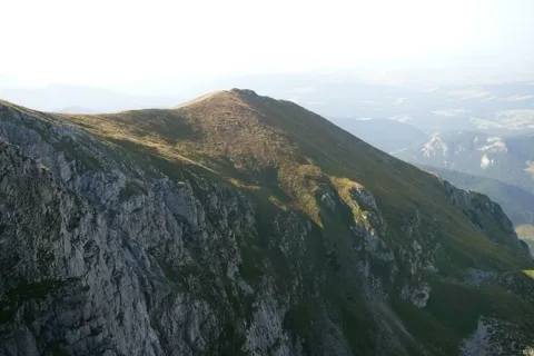 Ciemniak