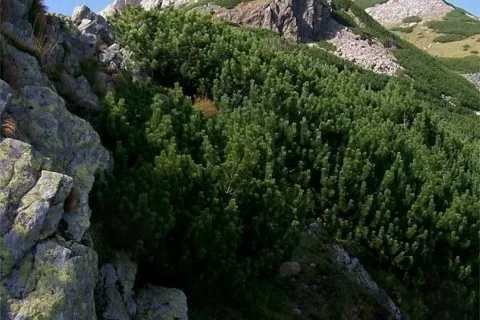 Szczyt Giewontu