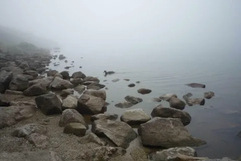 Czarny Staw Gąsienicowy... gdzieś tam...
