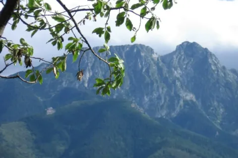 Widok na Giewont
