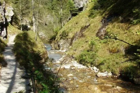 Juranova dolina
