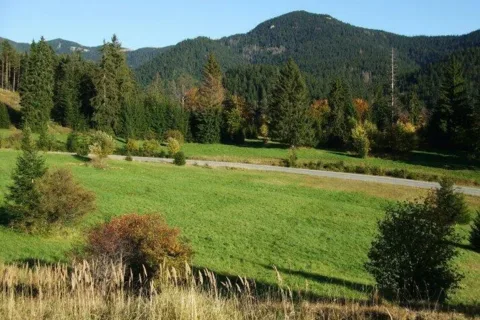 Fatrovo Dedosova dolina